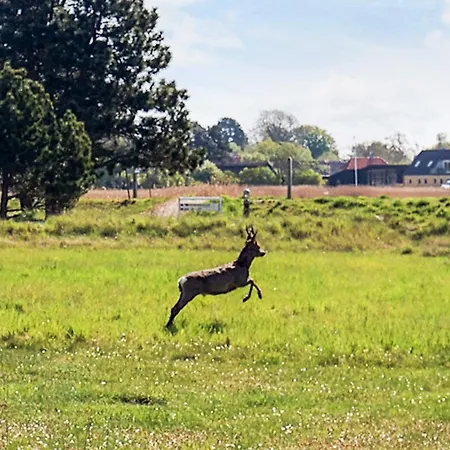 2-room In בית נופש Karrebæksminde