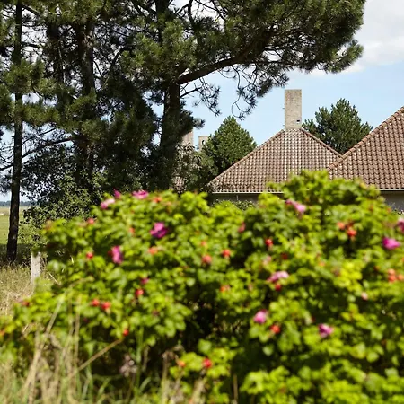 2-room In בית נופש Karrebæksminde